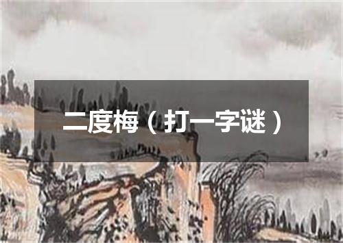 二度梅（打一字谜）