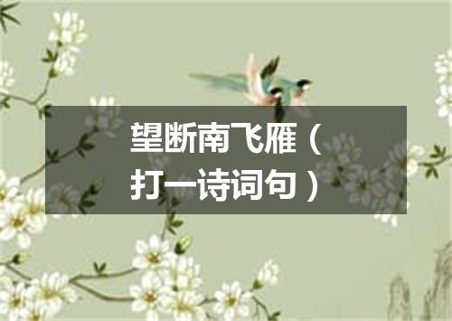 望断南飞雁（打一诗词句）