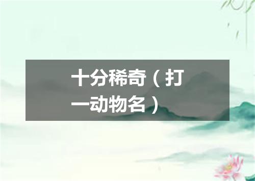 十分稀奇（打一动物名）