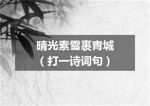 晴光素雪裹青城（打一诗词句）