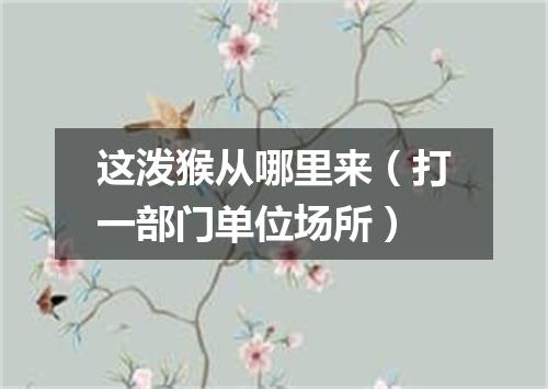 这泼猴从哪里来（打一部门单位场所）
