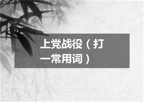 上党战役（打一常用词）