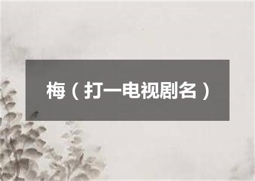 梅（打一电视剧名）