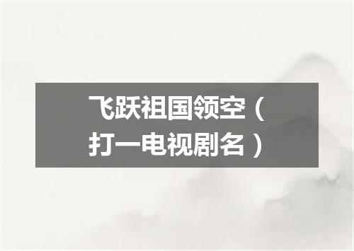 飞跃祖国领空（打一电视剧名）