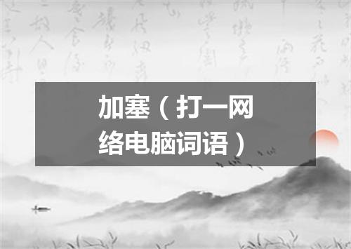 加塞（打一网络电脑词语）