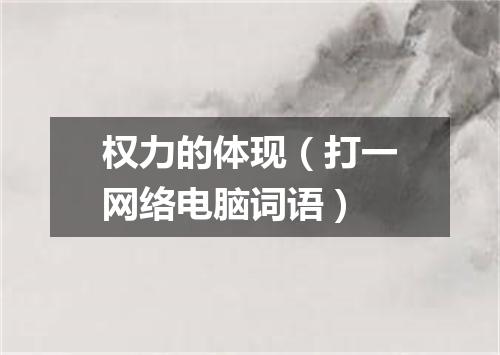 权力的体现（打一网络电脑词语）
