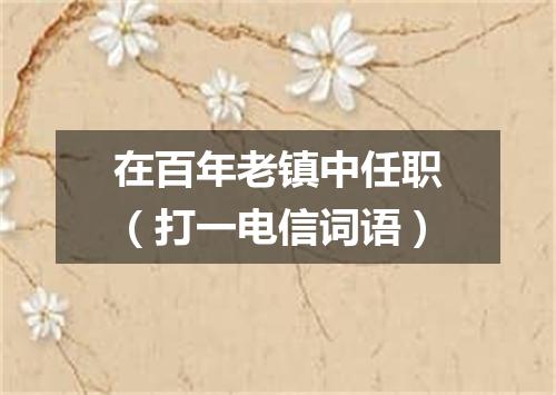 在百年老镇中任职（打一电信词语）
