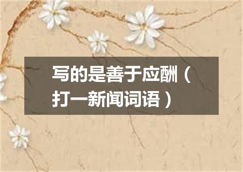 写的是善于应酬（打一新闻词语）