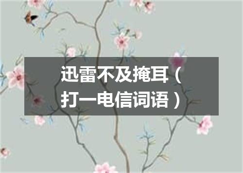 迅雷不及掩耳（打一电信词语）