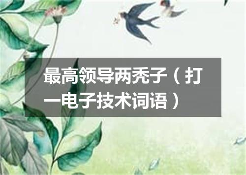 最高领导两秃子（打一电子技术词语）