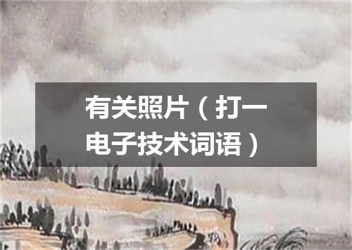 有关照片（打一电子技术词语）