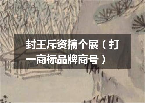封王斥资搞个展（打一商标品牌商号）