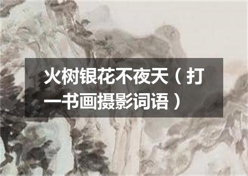 火树银花不夜天（打一书画摄影词语）