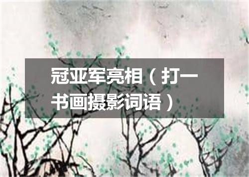冠亚军亮相（打一书画摄影词语）