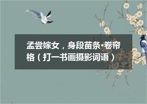 孟尝嫁女，身段苗条·卷帘格（打一书画摄影词语）
