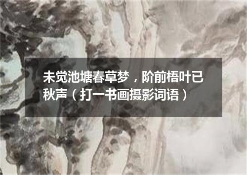 未觉池塘春草梦，阶前梧叶已秋声（打一书画摄影词语）