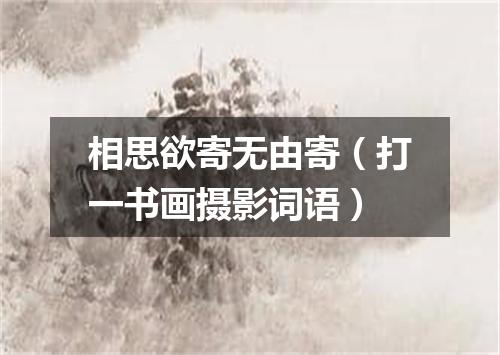 相思欲寄无由寄（打一书画摄影词语）