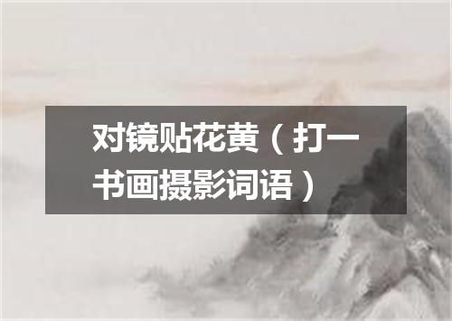 对镜贴花黄（打一书画摄影词语）