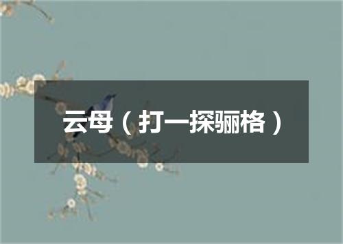 云母（打一探骊格）
