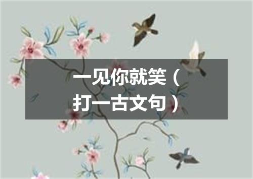 一见你就笑（打一古文句）