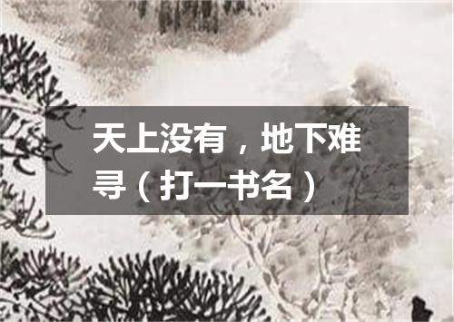 天上没有，地下难寻（打一书名）