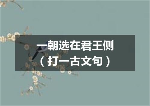 一朝选在君王侧（打一古文句）