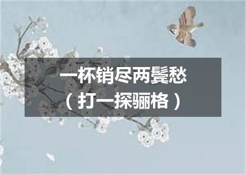 一杯销尽两鬓愁（打一探骊格）