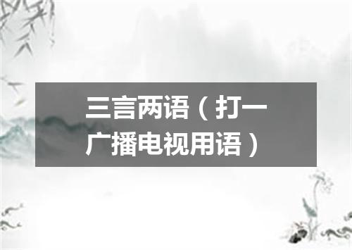 三言两语（打一广播电视用语）