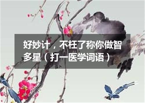好妙计，不枉了称你做智多星（打一医学词语）