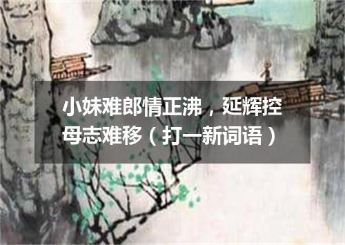 小妹难郎情正沸，延辉控母志难移（打一新词语）