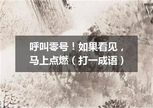 呼叫零号！如果看见，马上点燃（打一成语）