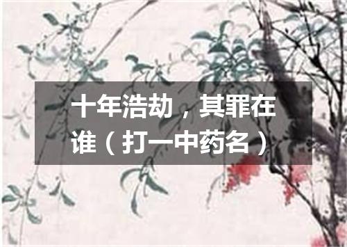 十年浩劫，其罪在谁（打一中药名）
