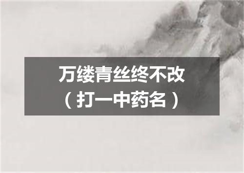万缕青丝终不改（打一中药名）