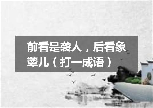 前看是袭人，后看象颦儿（打一成语）