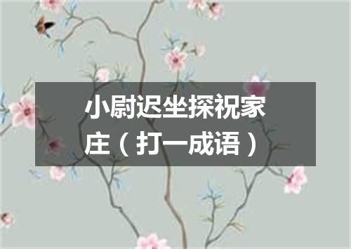 小尉迟坐探祝家庄（打一成语）