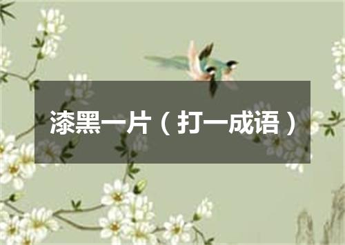 漆黑一片（打一成语）