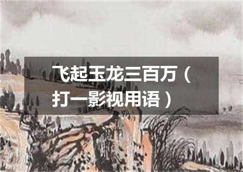 飞起玉龙三百万（打一影视用语）
