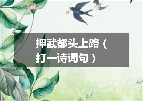 押武都头上路（打一诗词句）