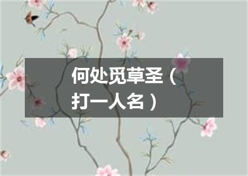 何处觅草圣（打一人名）