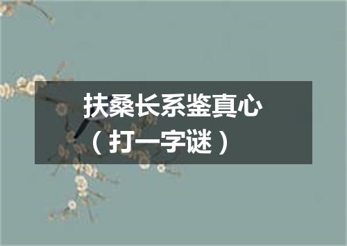 扶桑长系鉴真心（打一字谜）