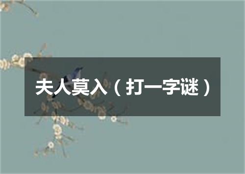 夫人莫入（打一字谜）