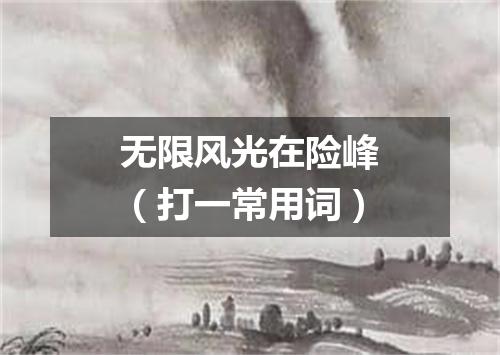无限风光在险峰（打一常用词）
