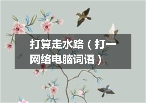 打算走水路（打一网络电脑词语）