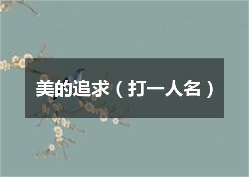 美的追求（打一人名）