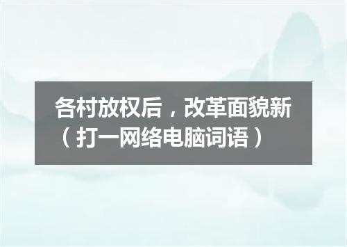 各村放权后，改革面貌新（打一网络电脑词语）