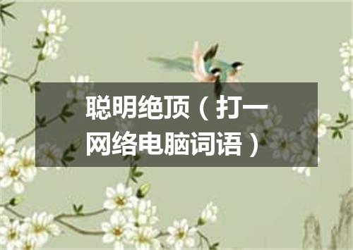 聪明绝顶（打一网络电脑词语）