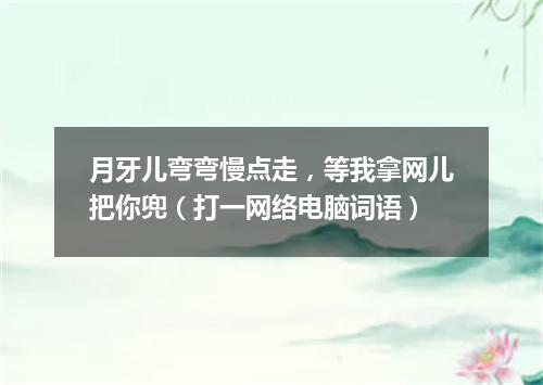 月牙儿弯弯慢点走，等我拿网儿把你兜（打一网络电脑词语）