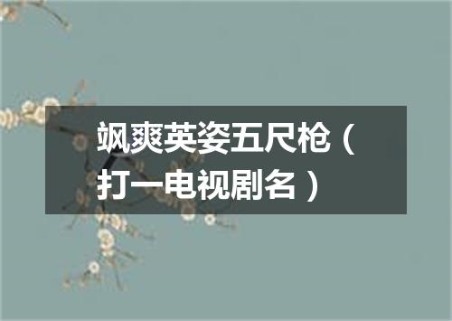 飒爽英姿五尺枪（打一电视剧名）