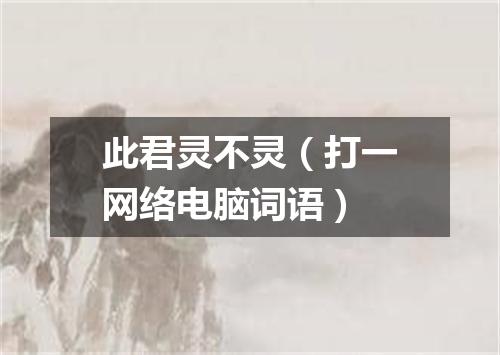 此君灵不灵（打一网络电脑词语）