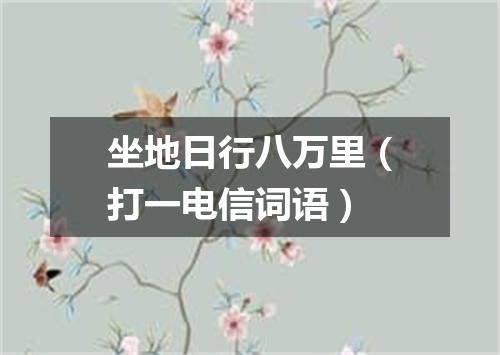 坐地日行八万里（打一电信词语）